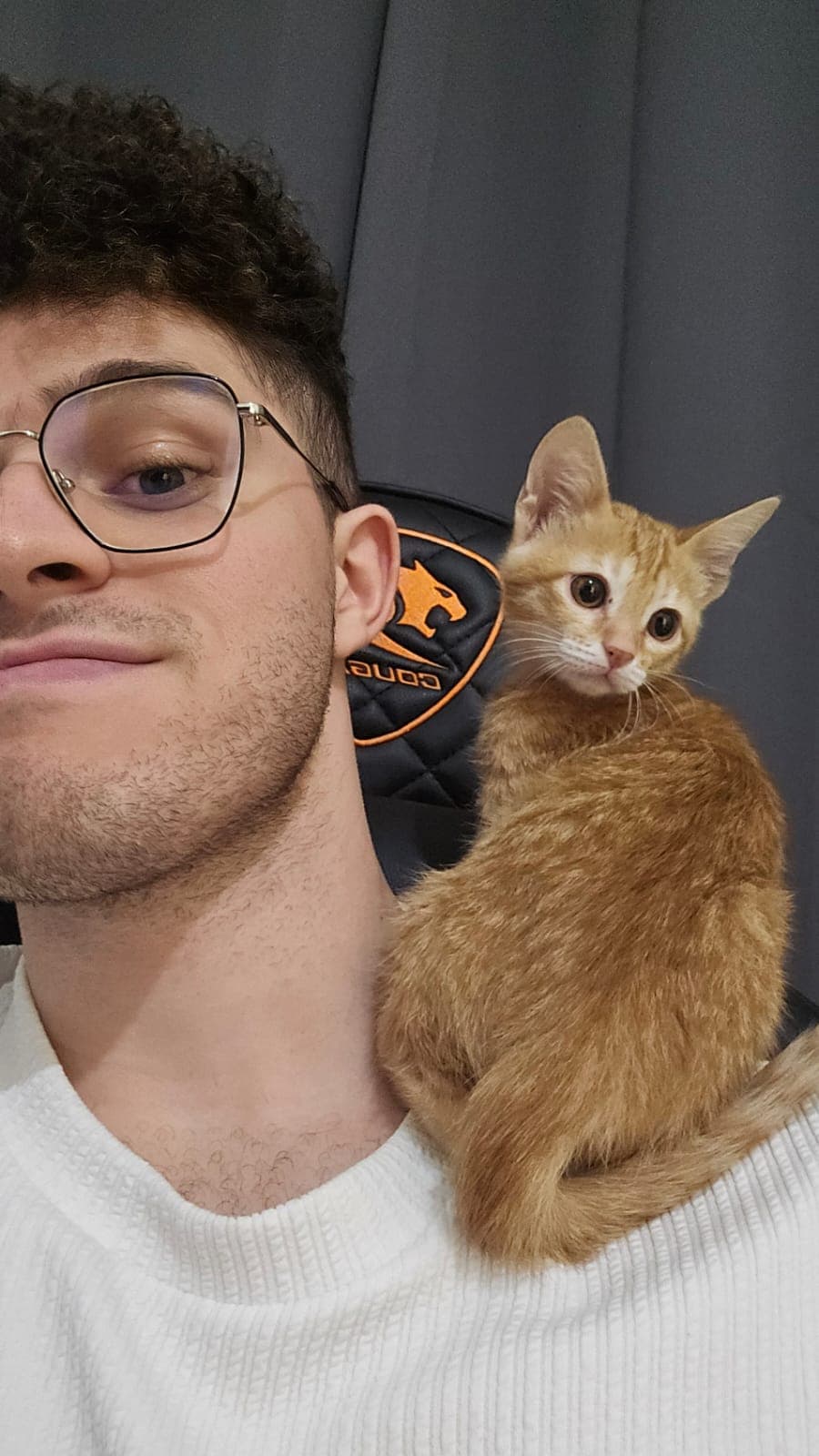 The same cat as a kitten, sitting on Mikael's shoulder